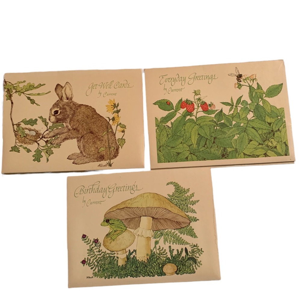 Lot of Greeting Cards w Envelopes Birthday Get Well Bunny Mushroom Frog Birds